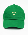 Trident Dad Hat