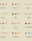 Birthstone Screwback Stud