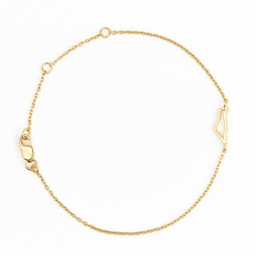 Israel Outline gold vermeil bracelet with chain -whatnotz.com  